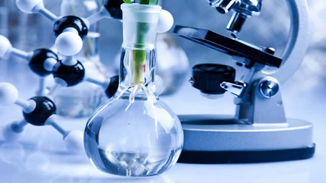 Black Diamond Therapeutics Trades Well Below Cash After Lucrative Deal With Servier