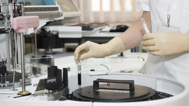 What's Going On With Summit Therapeutics Stock On Friday?